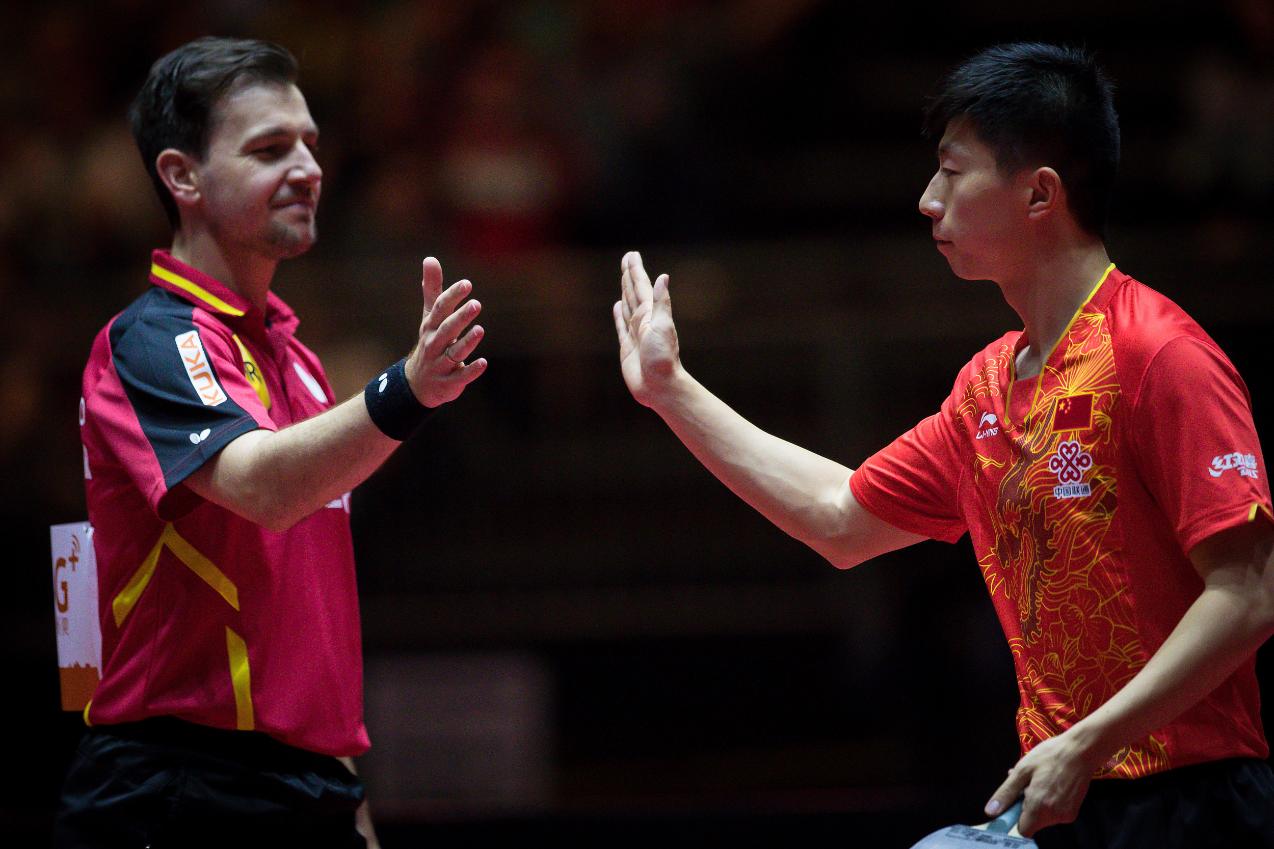 奥地利队轻取韩国队,波尔点燃赛场 奥地利队轻取韩国队,波尔点燃赛场