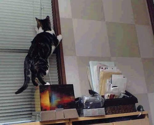 灼热与冷冽，当太阳的团队浪潮遇上保罗的终极接管