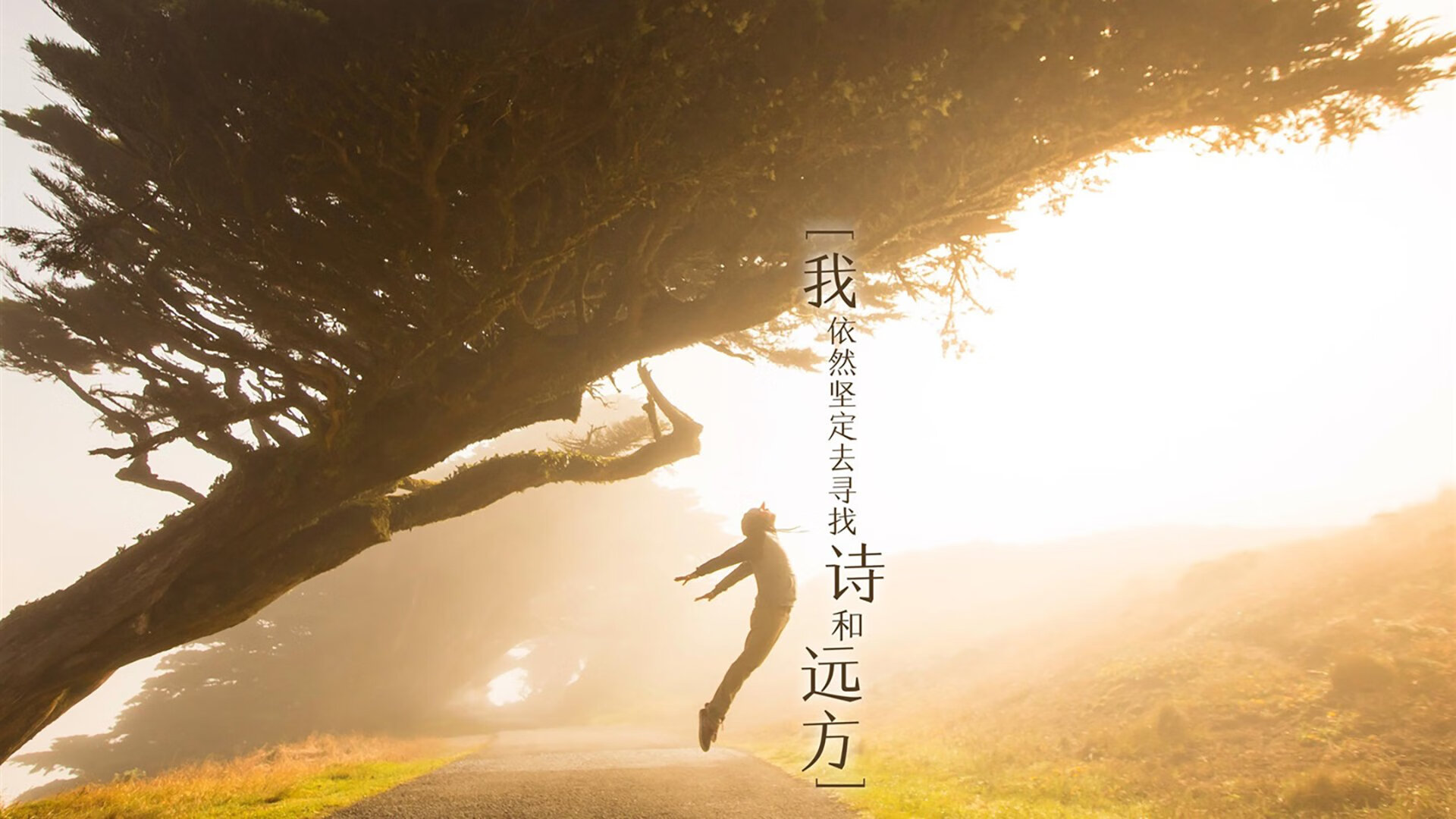 一神与一队，约基奇扛起全队 vs 黄蜂制霸76人的胜负哲学