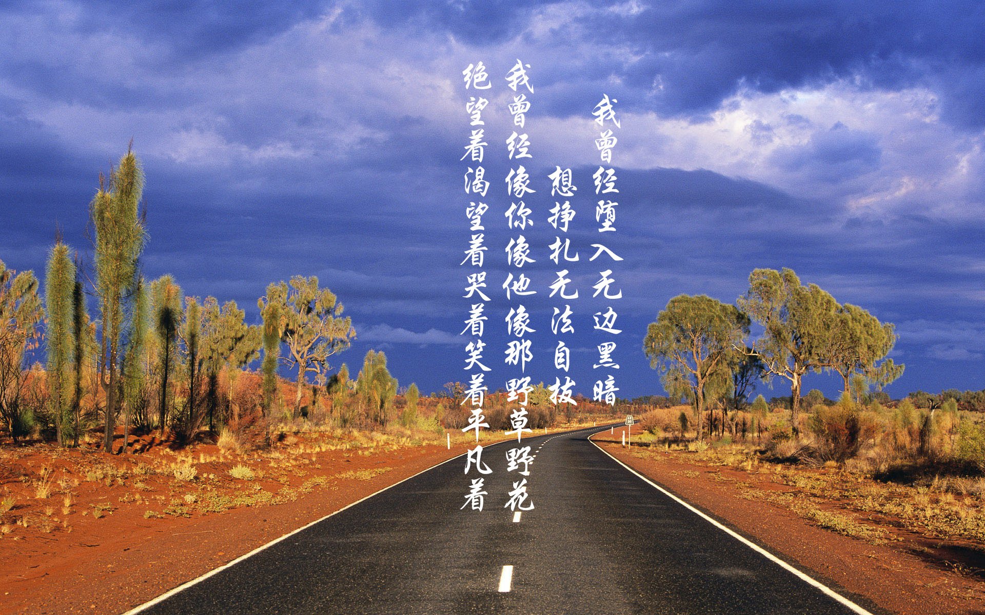 绿茵场的双重奏，皇家社会终结伊朗神话，若日尼奥主宰排名战场